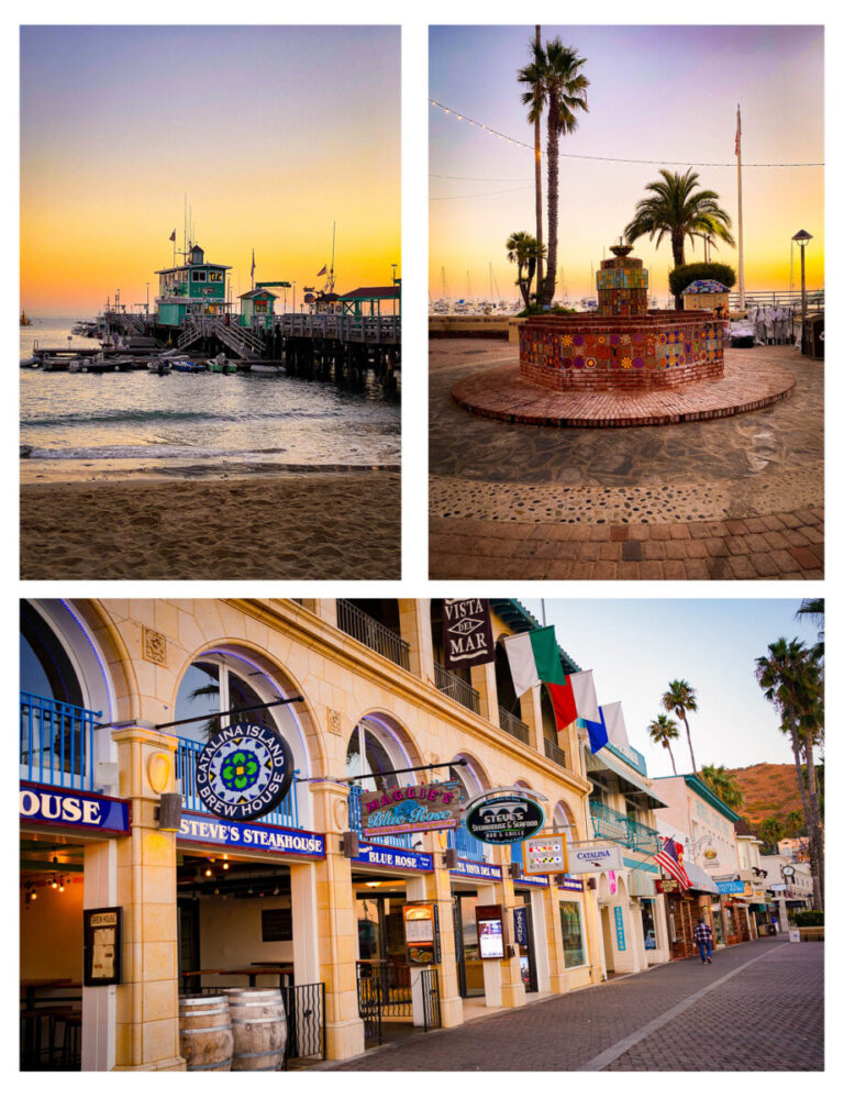 Best Things To Do In Catalina Island