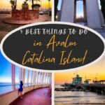 9 Best Things To do in Avalon Catalina Island