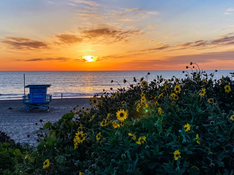 Manhattan Beach