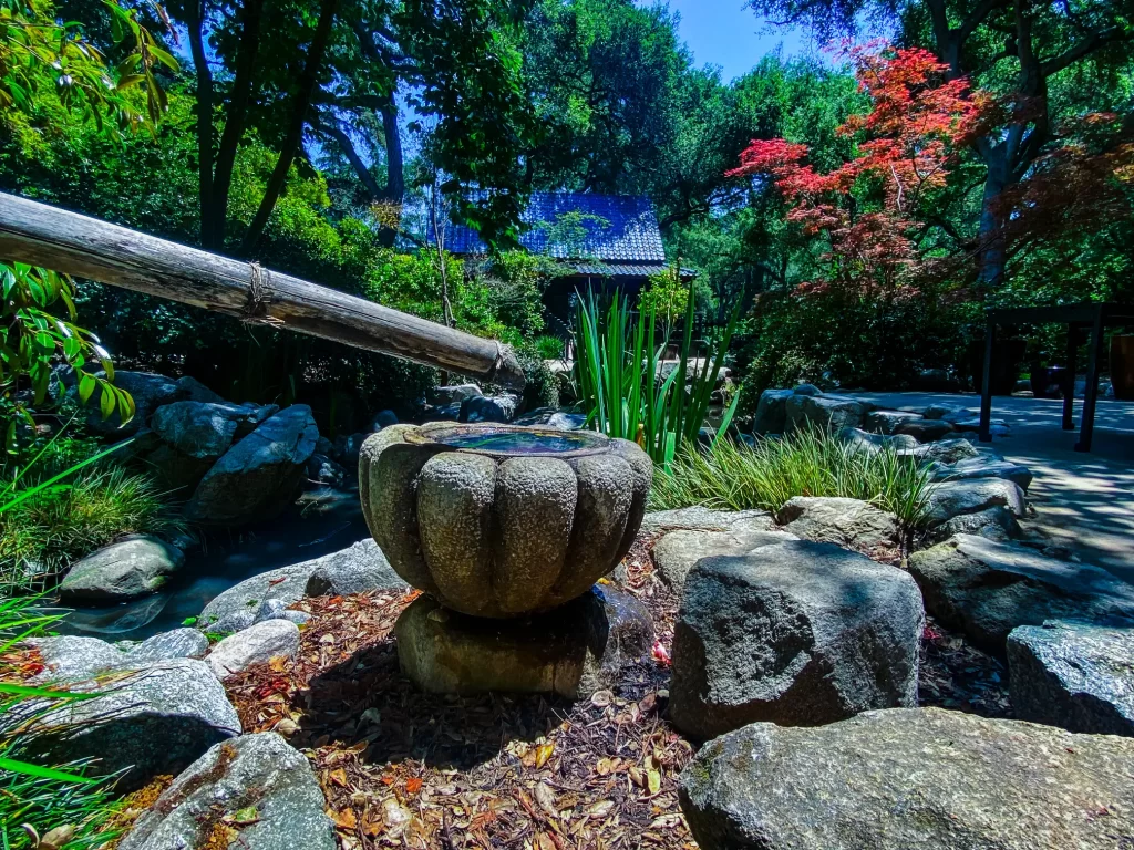 How To Spend 1 Magical day at Descanso Gardens