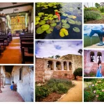 7 Best things To Do In San Juan Capistrano